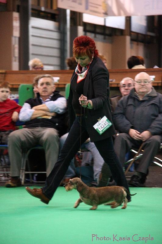 Crufts2011_2 1482.jpg